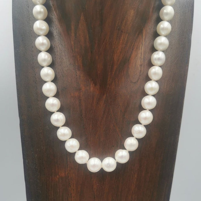 The Timeless Pearls Collection